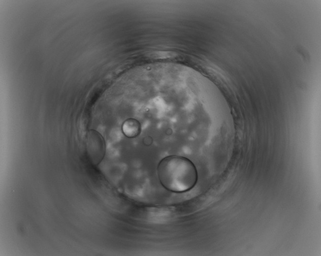 X0000114110373200910191707