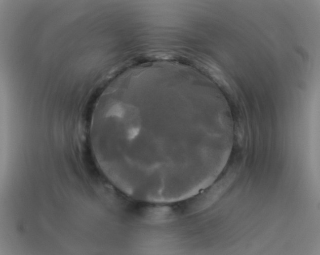 X0000114110374200910191707