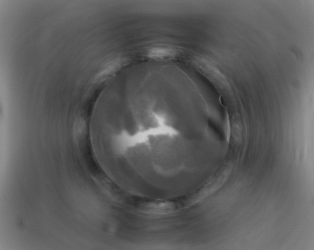 X0000114110375200910191707