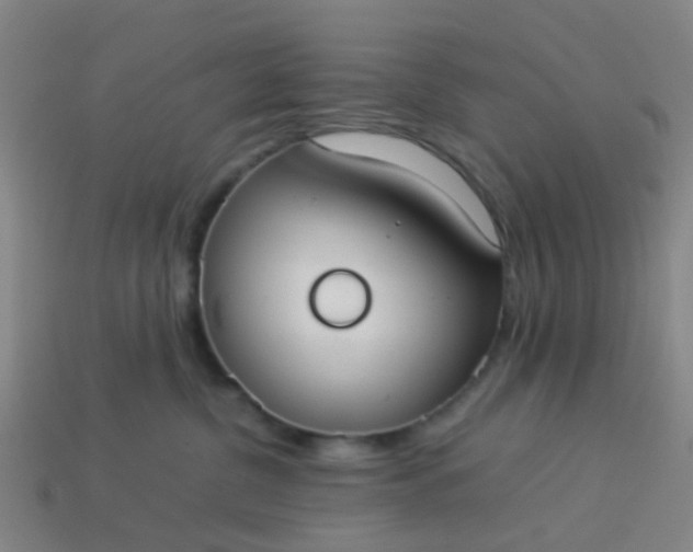 X0000114110380200910191708