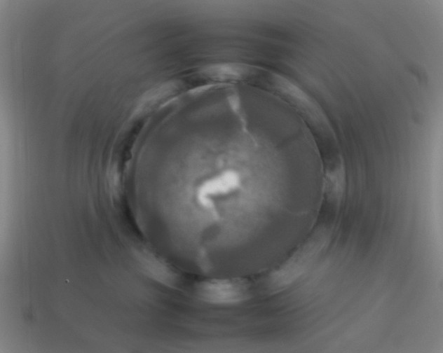 X0000114110381200910191708