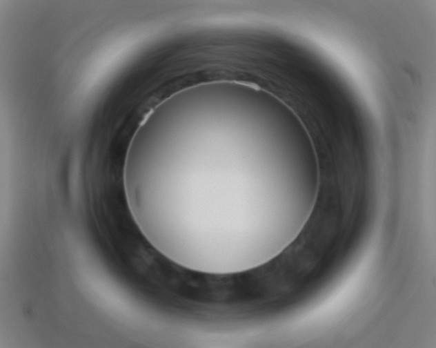 X0000114110382200910191708