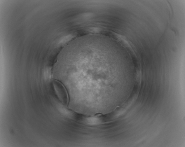 X0000114110383200910191708