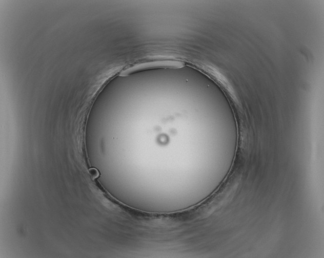 X0000114110385200910191707