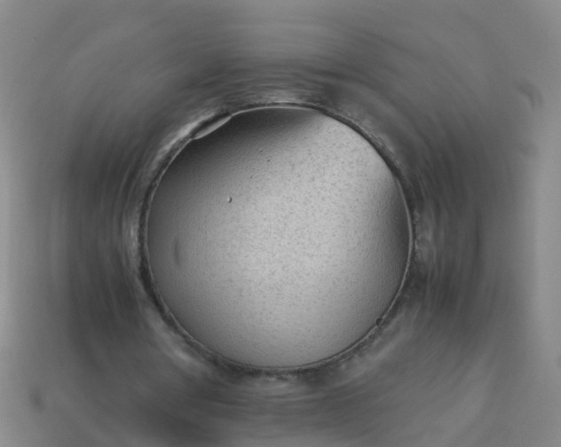 X0000114110386200910191707