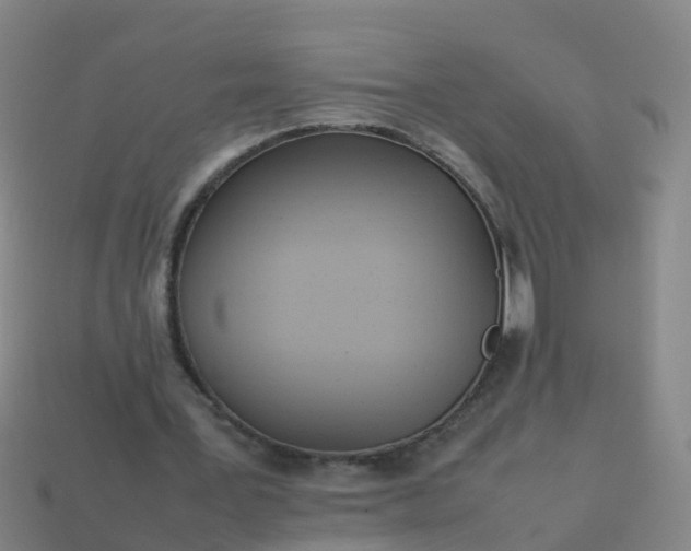 X0000114110387200910191707