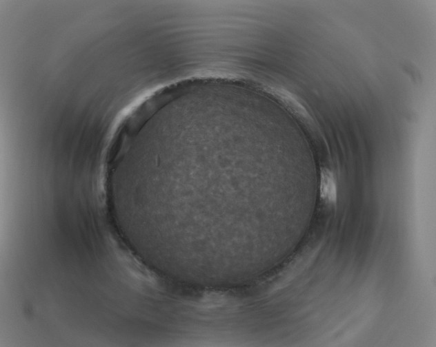 X0000114110388200910191707