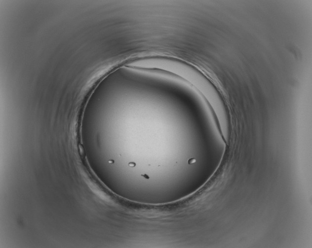 X0000114110389200910191707