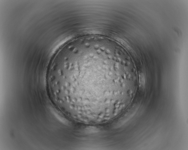 X0000114110390200910191707