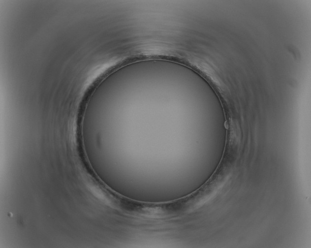 X0000114110391200910191707