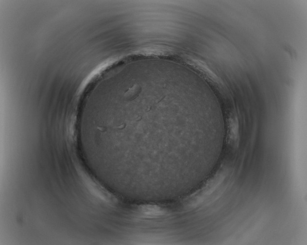 X0000114110392200910191707