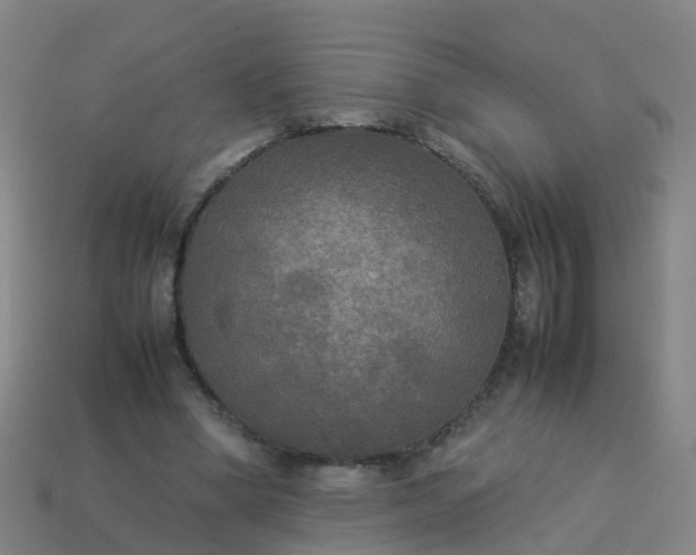 X0000114110394200910191707