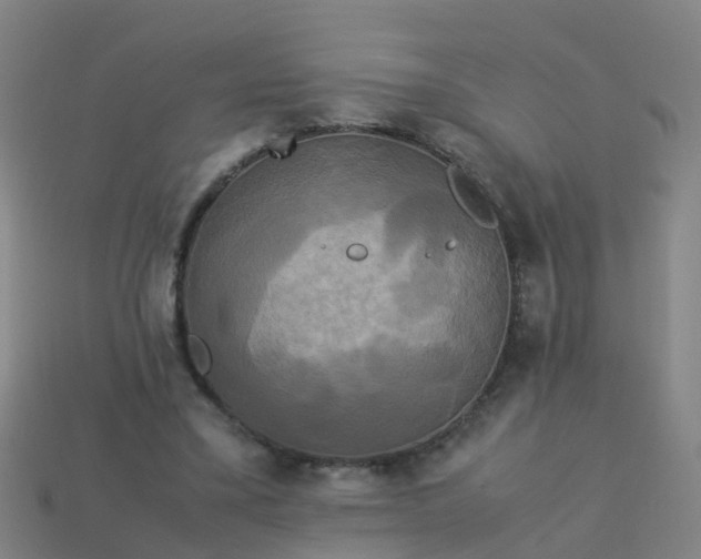 X0000114110395200910191707