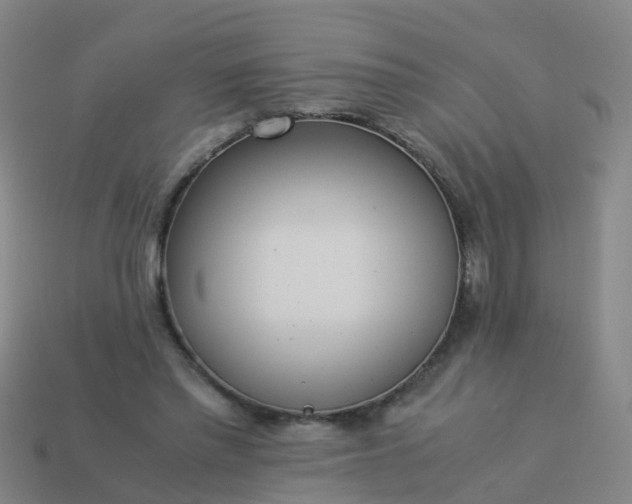 X0000114110397200910191707