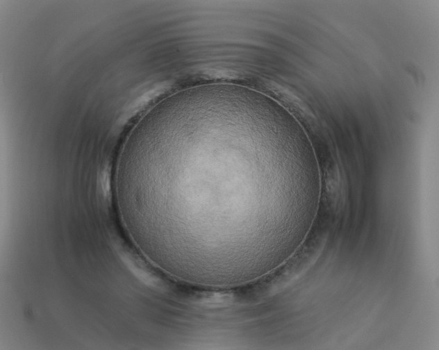 X0000114110398200910191707