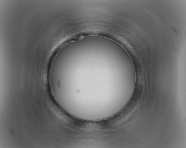 X0000114110399200910191707