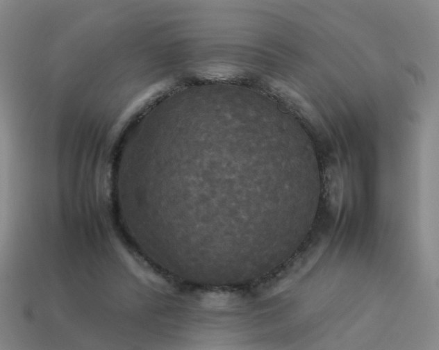 X0000114110400200910191707