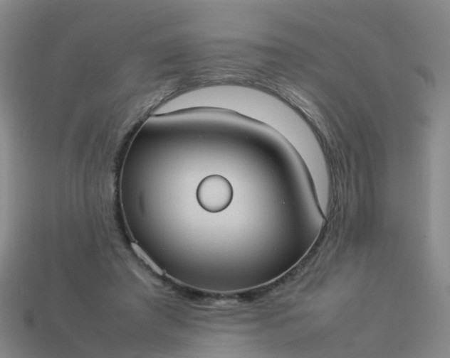 X0000114110401200910191707