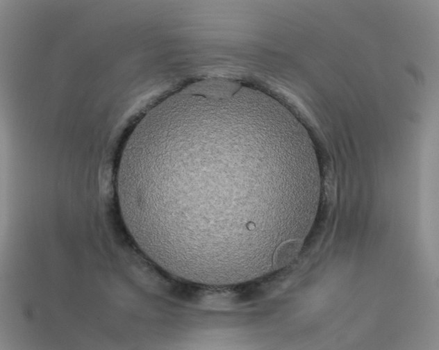 X0000114110403200910191707