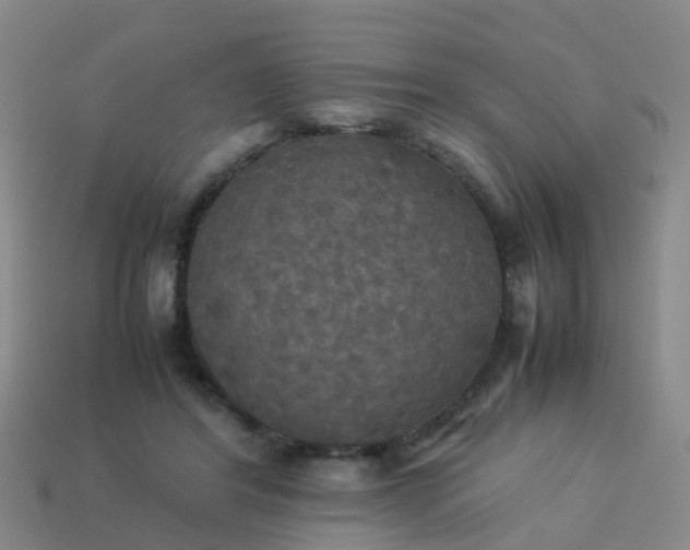 X0000114110404200910191707