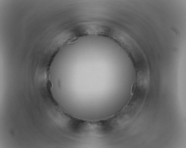 X0000114110405200910191707