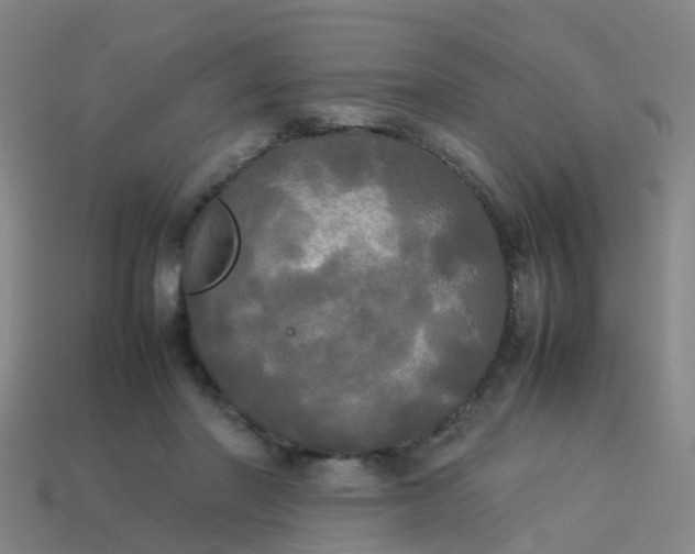 X0000114110406200910191707