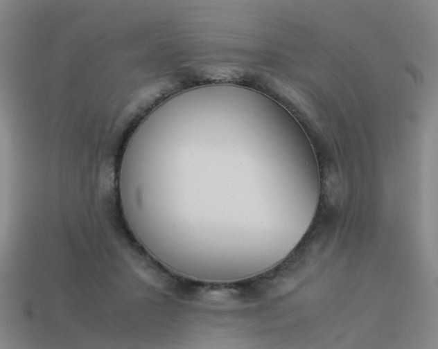 X0000114110407200910191707