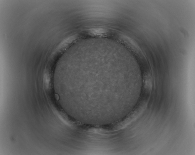 X0000114110408200910191707