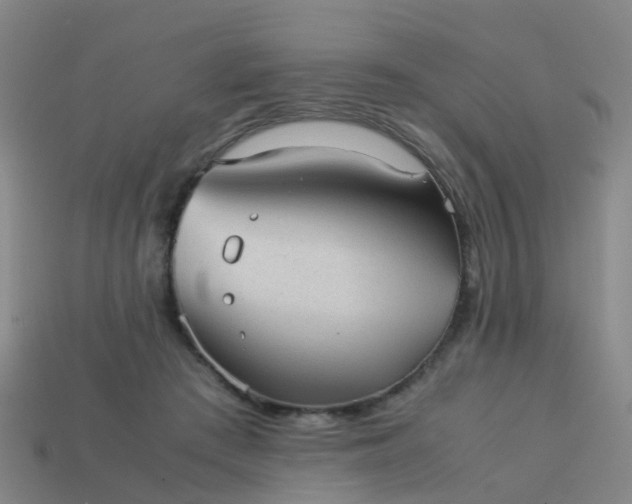 X0000114110409200910191707