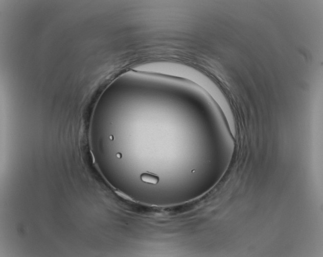 X0000114110411200910191707