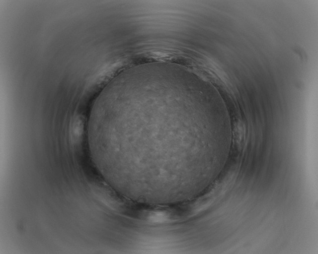 X0000114110412200910191707