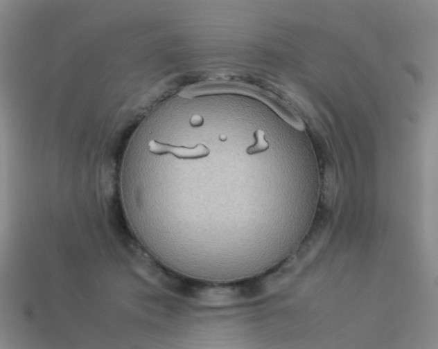 X0000114110413200910191707