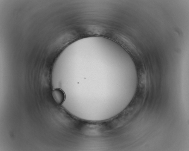 X0000114110414200910191707