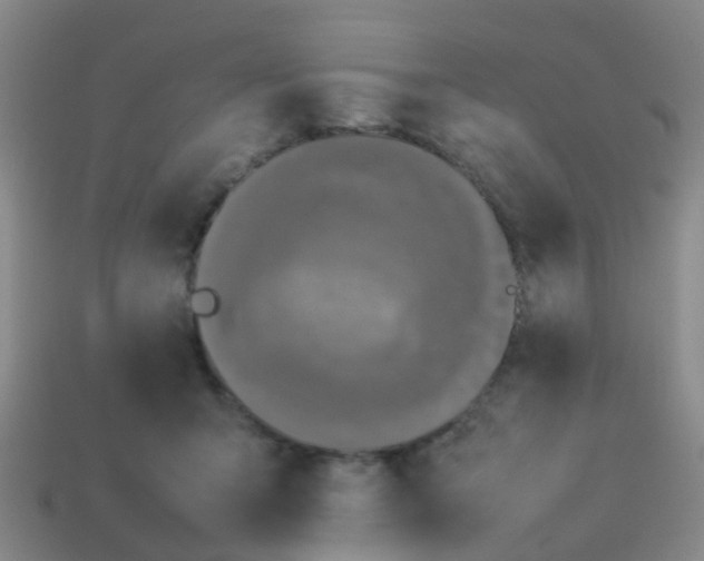 X0000114110415200910191707