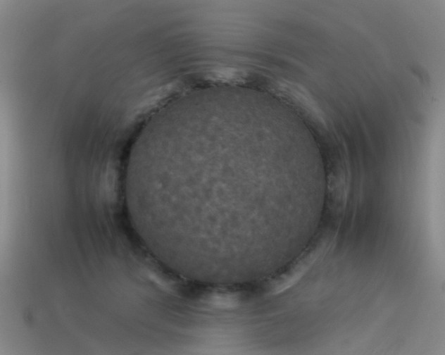 X0000114110416200910191707