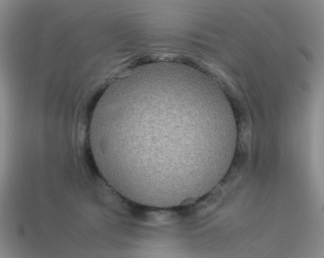 X0000114110417200910191707