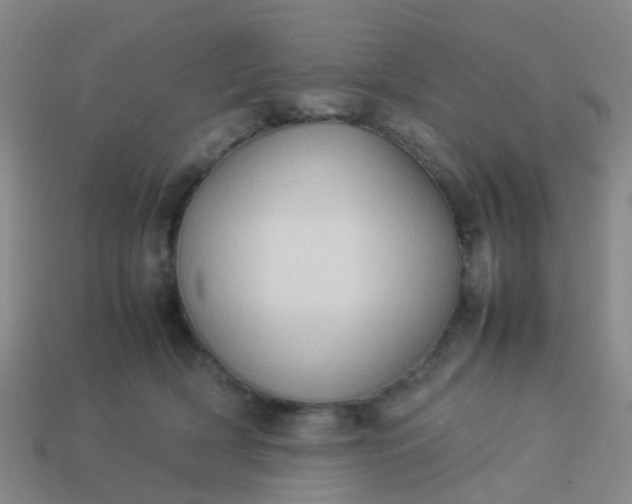 X0000114110418200910191707