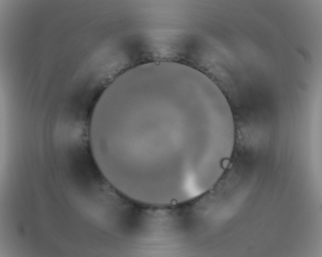 X0000114110419200910191707