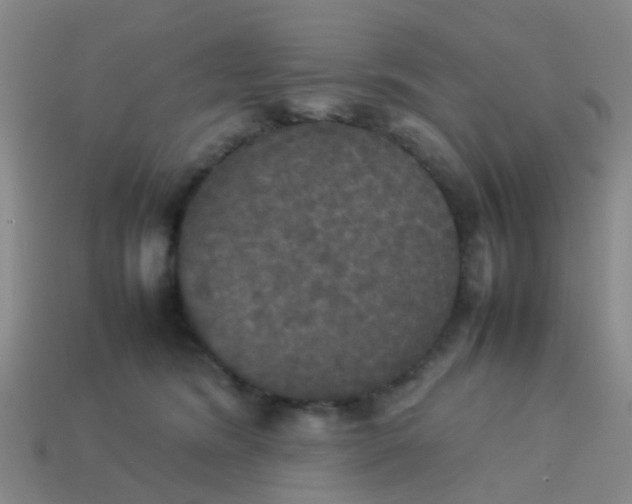 X0000114110420200910191706