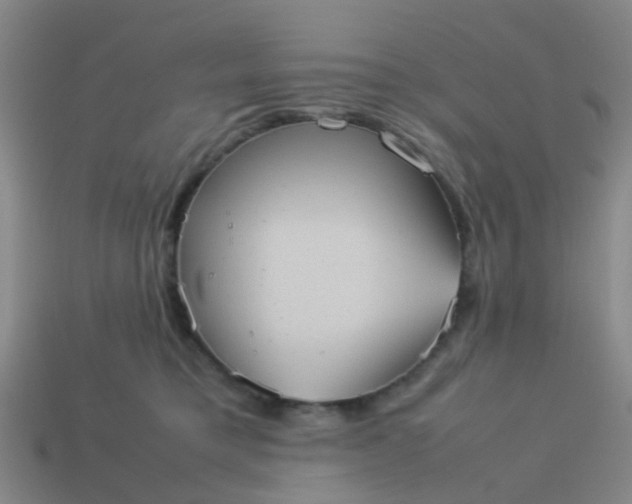 X0000114110421200910191706