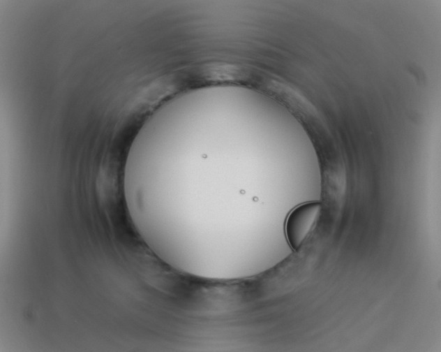 X0000114110422200910191706