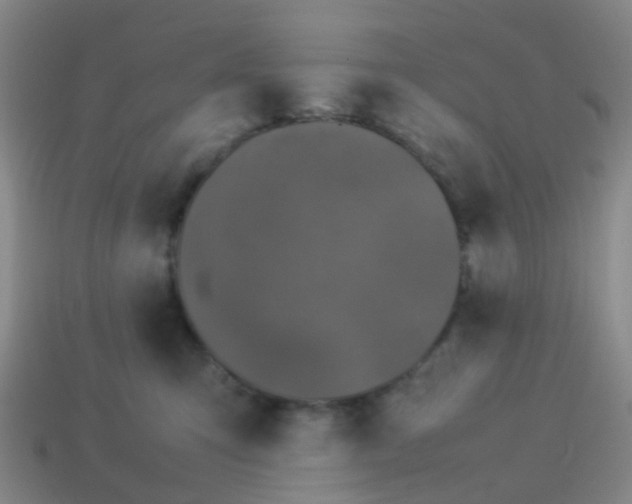 X0000114110423200910191706