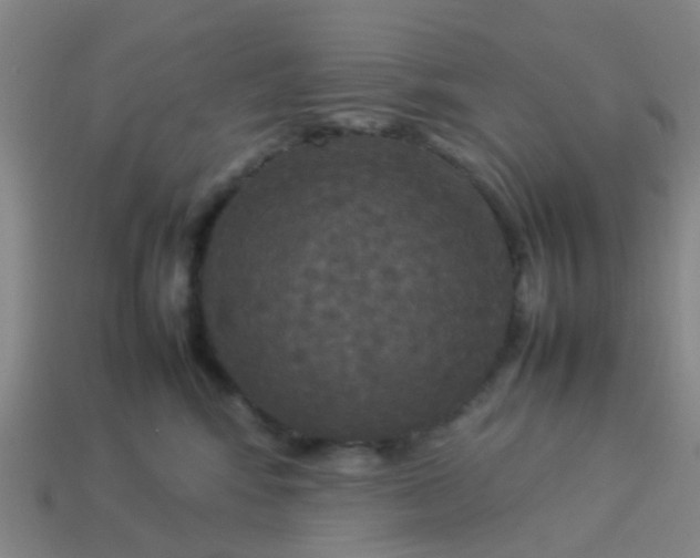 X0000114110424200910191706