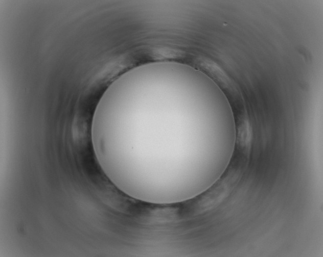 X0000114110426200910191706