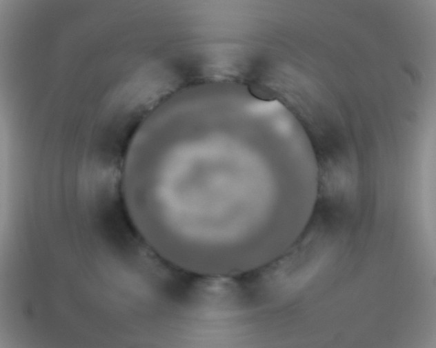 X0000114110427200910191706