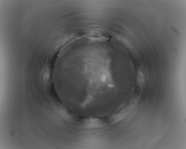 X0000114110428200910191706