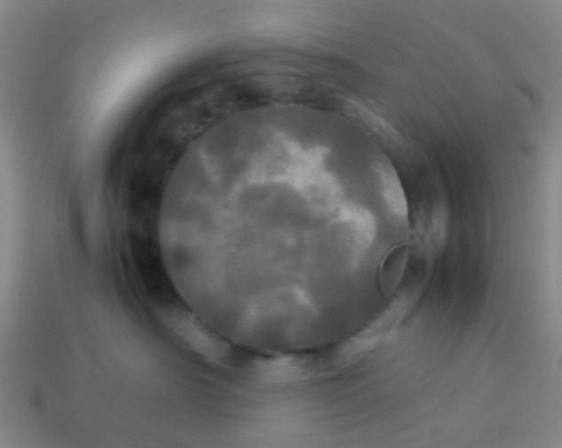 X0000114110430200910191706