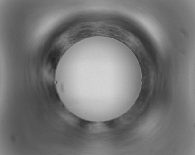 X0000114110431200910191706