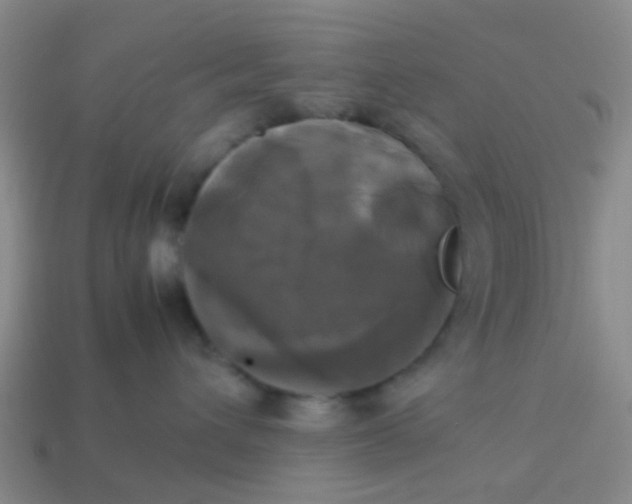 X0000114110432200910191706