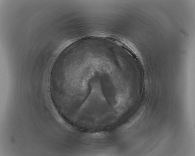 X0000114110433200910191706